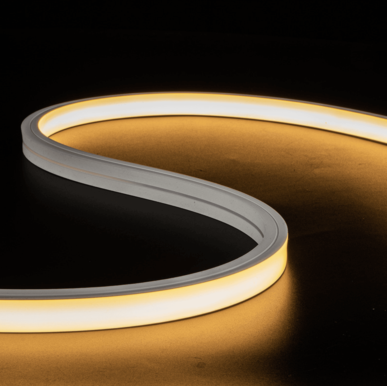 Outdoor LED Neon Flex Light 16*16
